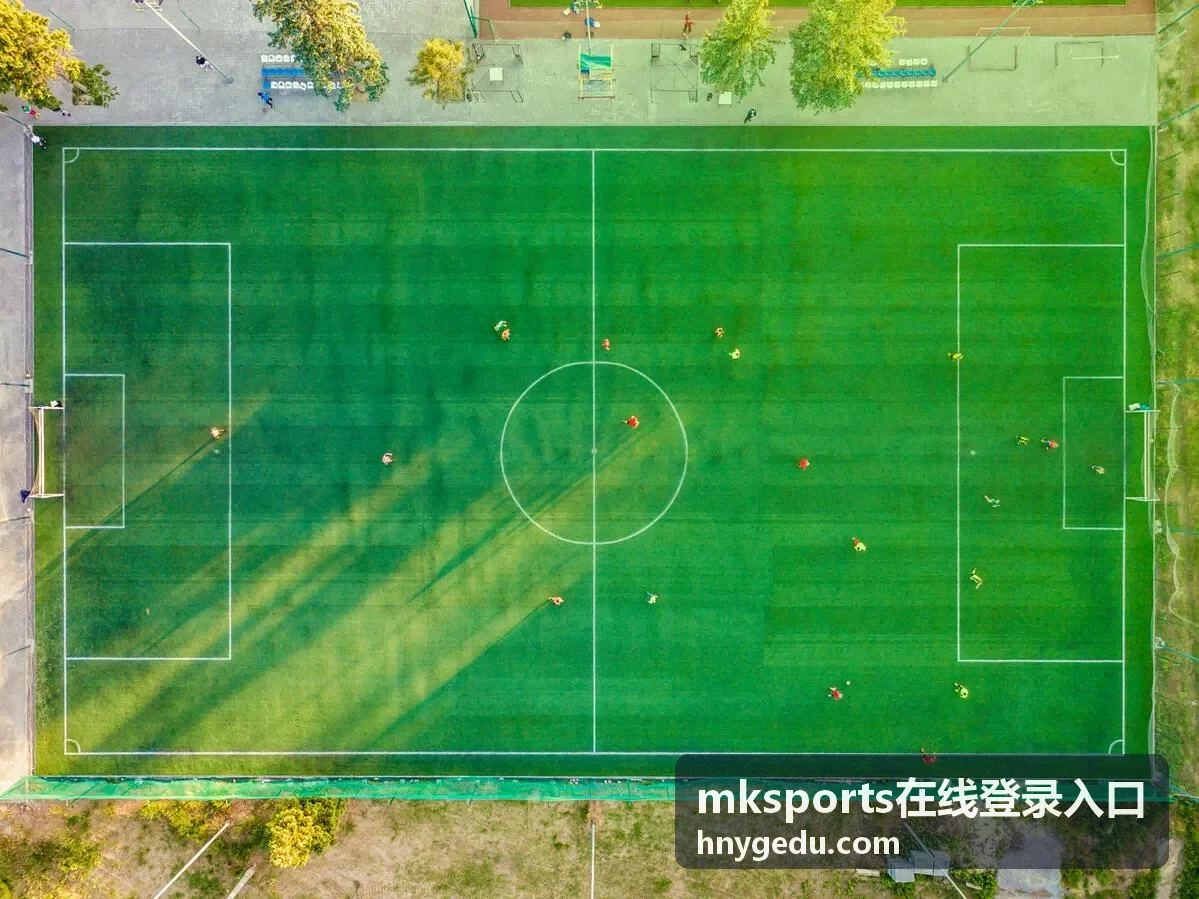 mksports在线登录入口 平台资讯文章封面图